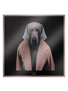 Max Mara Carremadamedbufanda perro